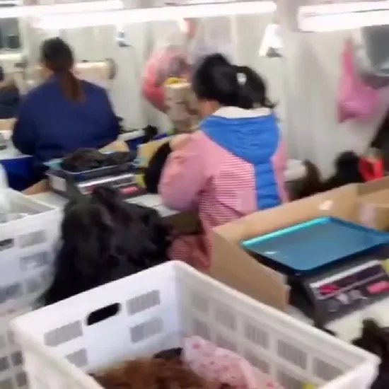 Custom Logo MMA Rush Guard Plus Size Womens Upf 50 Sports Quick Dry Short Rashguard